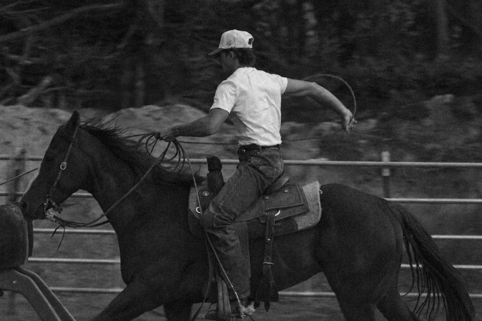 Rodeo Collections